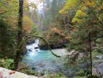 Echerhtal - Waldbach
