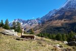 Lötschental