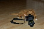 &quot;Fotograf&quot; Arny