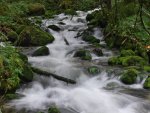 Bühlerbach