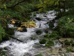 Bühlerbach