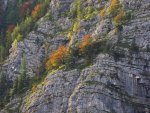 Obertraun
