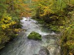 Echerntal - Waldbach