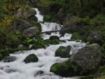 Echerntal - Waldbach
