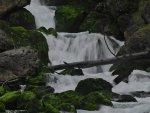 Echerntal - Waldbach