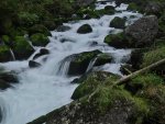 Echerntal - Waldbach