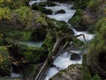 Echerntal - Waldbach