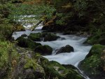 Echerntal - Waldbach