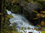 Echerntal - Waldbach
