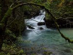 Echerntal - Waldbach
