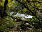 Echerntal - Waldbach