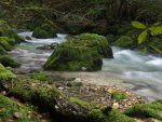 Echerntal - Waldbach