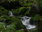 Bühlerbach
