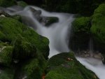 Bühlerbach