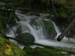 Bühlerbach