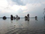 Jezero Naivasha