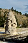 Liberty Cap