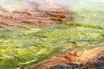 Midway Geyser Basin