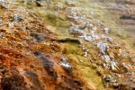 Midway Geyser Basin