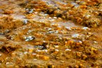 Midway Geyser Basin