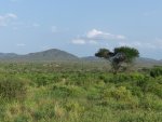Tsavo